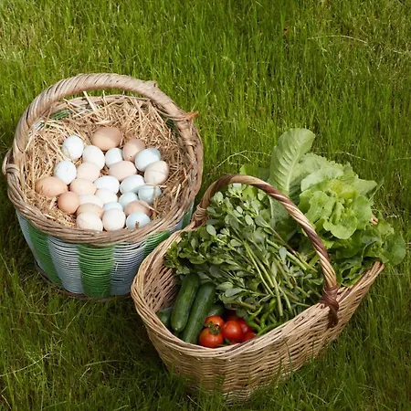 Hotel Dachas Cove Agva (Marmara)