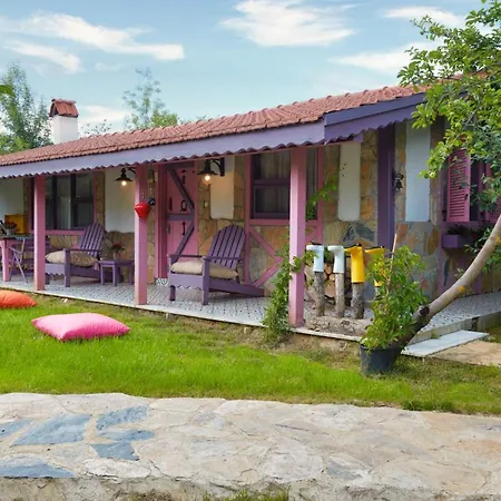 Dachas Cove